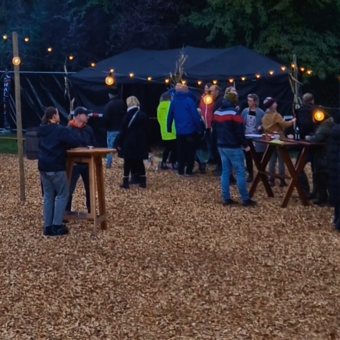 Design ohne Titel (44)