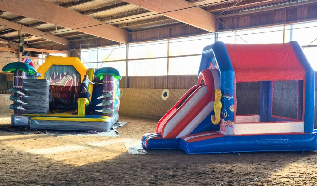 Blaue Nemo Hüpfburg für Kindergeburtstag in Lüneburg mieten