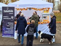 Full-Service | Firmenfeste